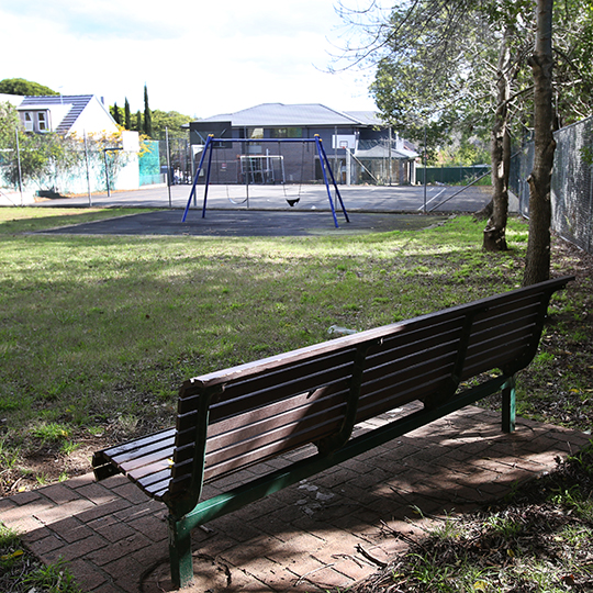 Bill Peters Reserve swings